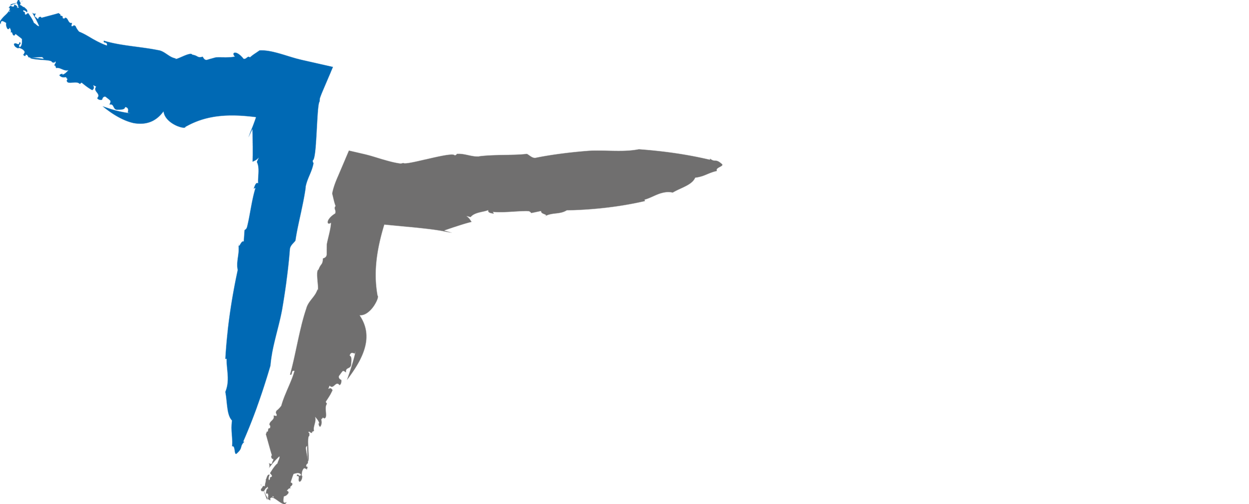 Toutain Carrosserie Industrielle